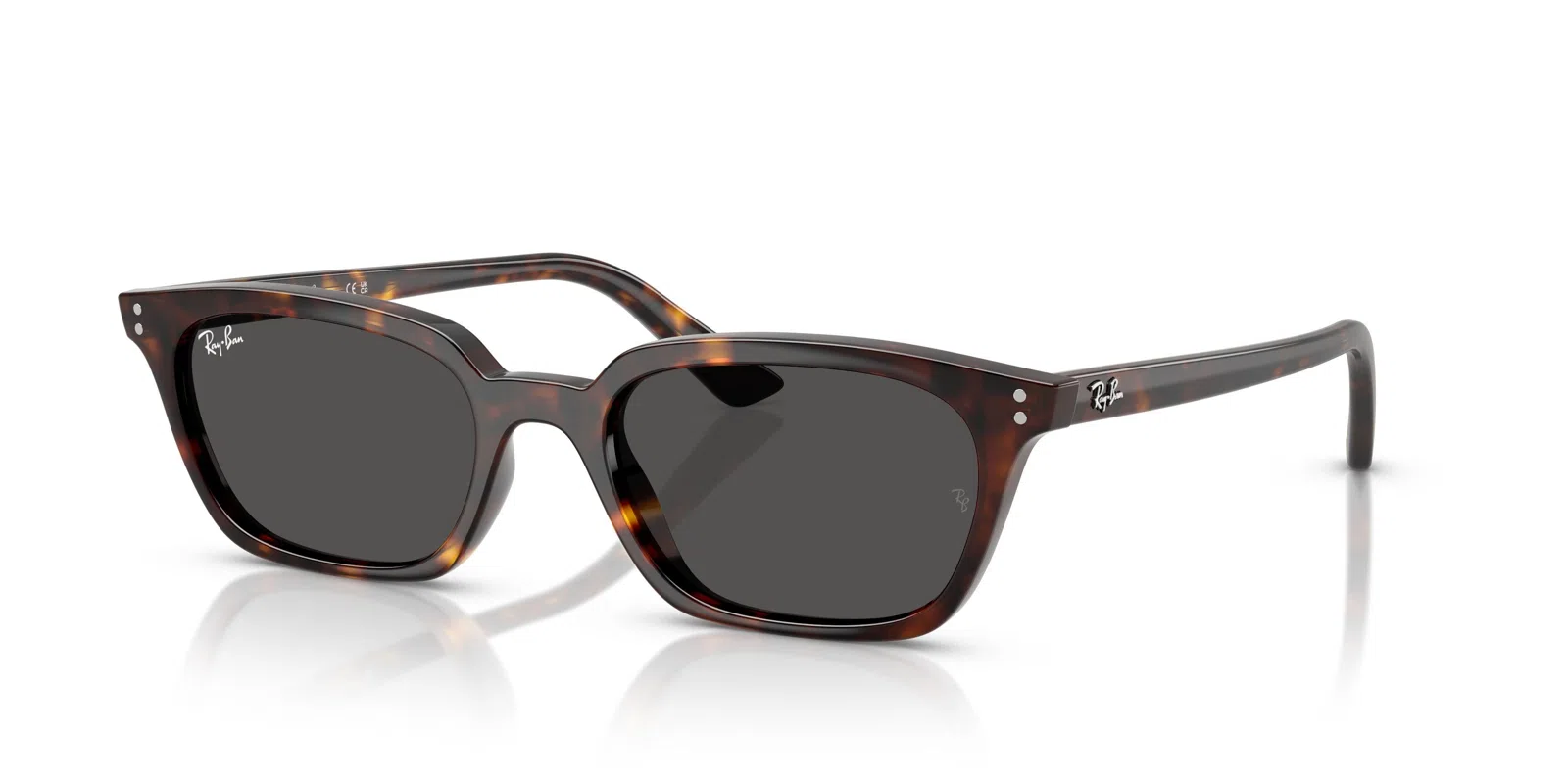Ray-Ban Zaya 4456F Sunglasses - view 18